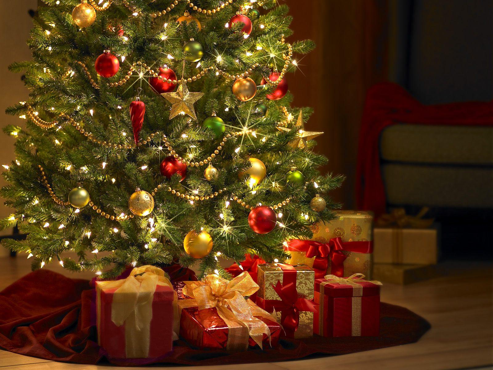 Árbol de navidad, precio varía hasta casi 70% en modelos similares