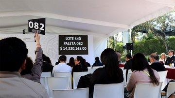 Recaudan 17.2 mdp en primer día de “la madre de todas las subastas”
