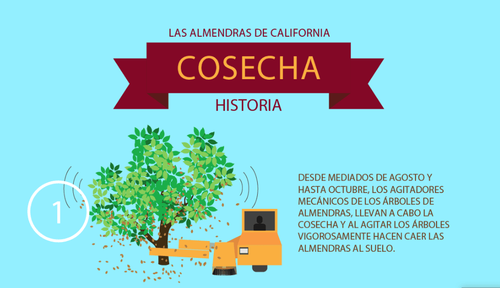 Almendras de California, cosecha histórica