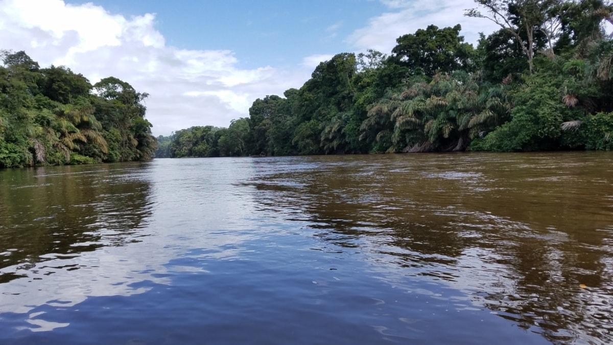 Tratado de aguas