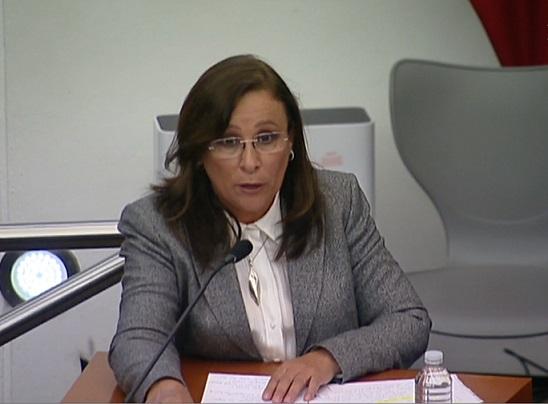 Rocío Nahle / Foto: Tomada de @senadomexicano, reforma