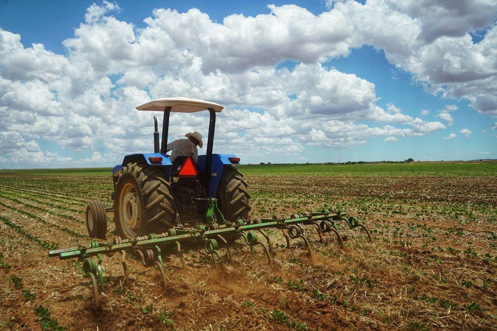 Labores agrícolas / Segalmex