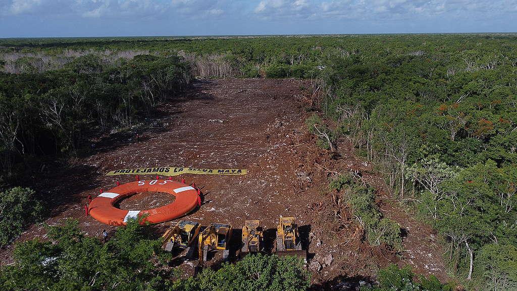 Protesta contra el Tren Maya / @greenpeacemx