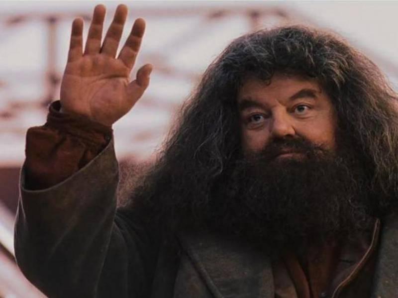 Robbie Coltrane, Hagrid
