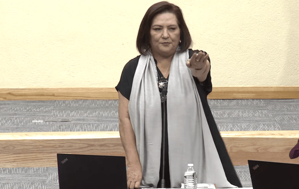 Guadalupe Taddei Zavala