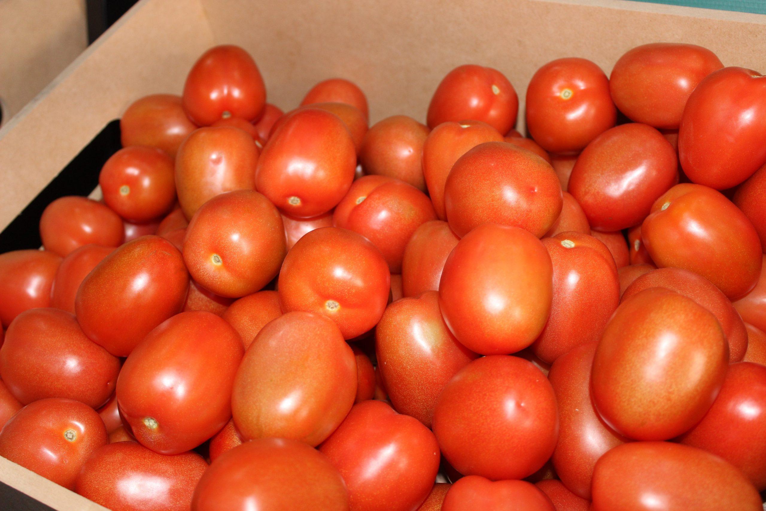 @Agricultura_mex