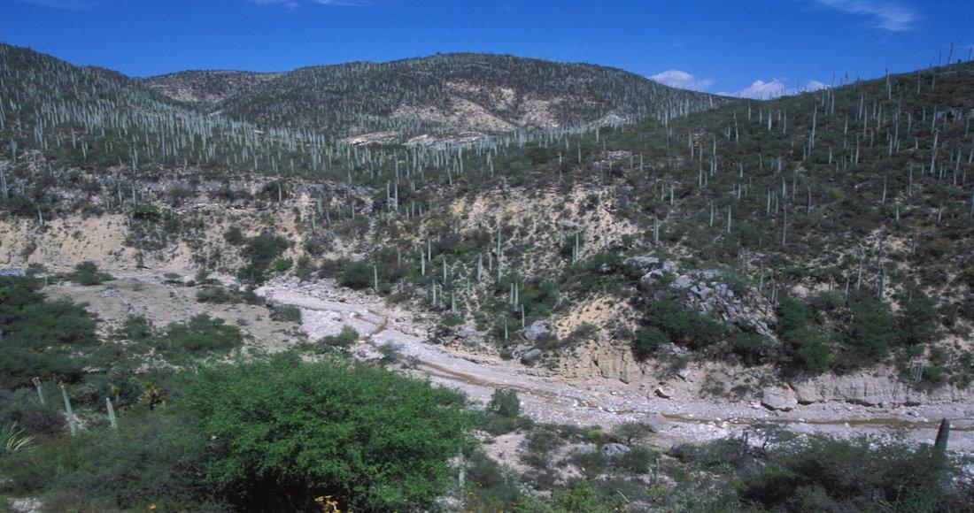 Este valle de México fue declarado Patrimonio Mundial de la Unesco