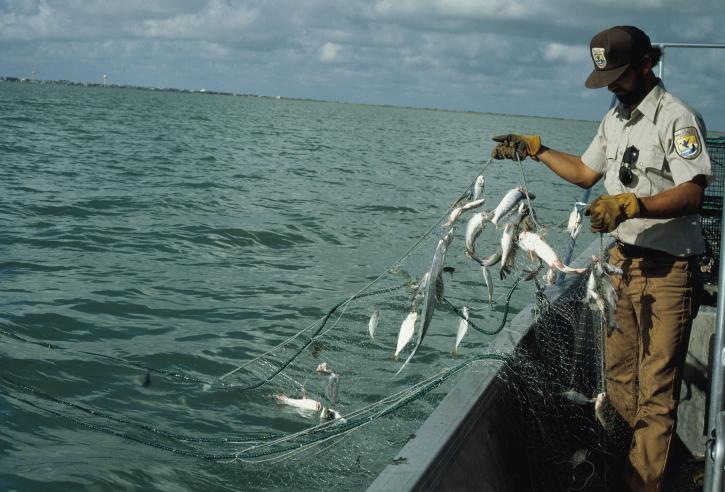Corte de EU ordena prohibir importaciones de pescados y marisco mexicanos, redes, pesca