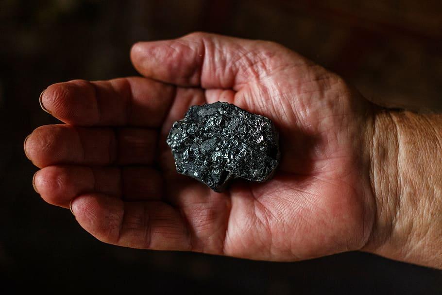 CFE compra 2 millones de toneladas de carbón a productores en Coahuila