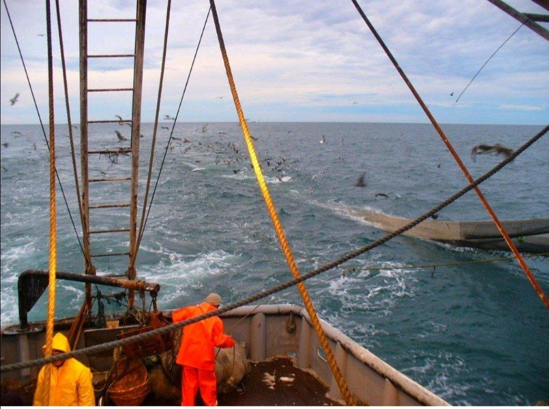 Industria pesquera / @canainpescamx