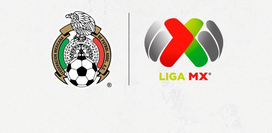 FMF, Liga MX